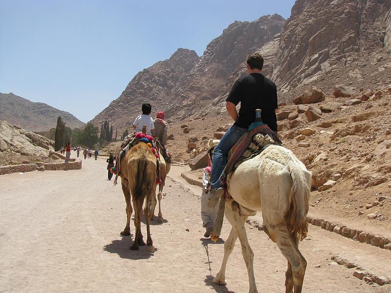 Sharm-el-Sheikh 243.jpg - Katharinen-Kloster & Mosesberg
St. Catherine monastery - Mount Sinai - Moses Mountain
Egypt - Sinai